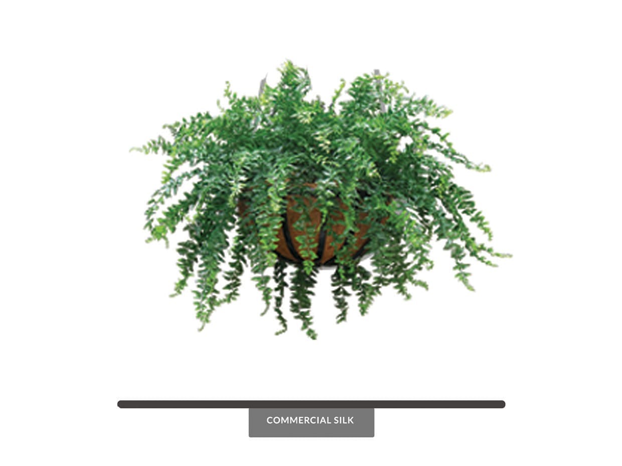 Fake Buckler Fern Hanging Basket Outdoor