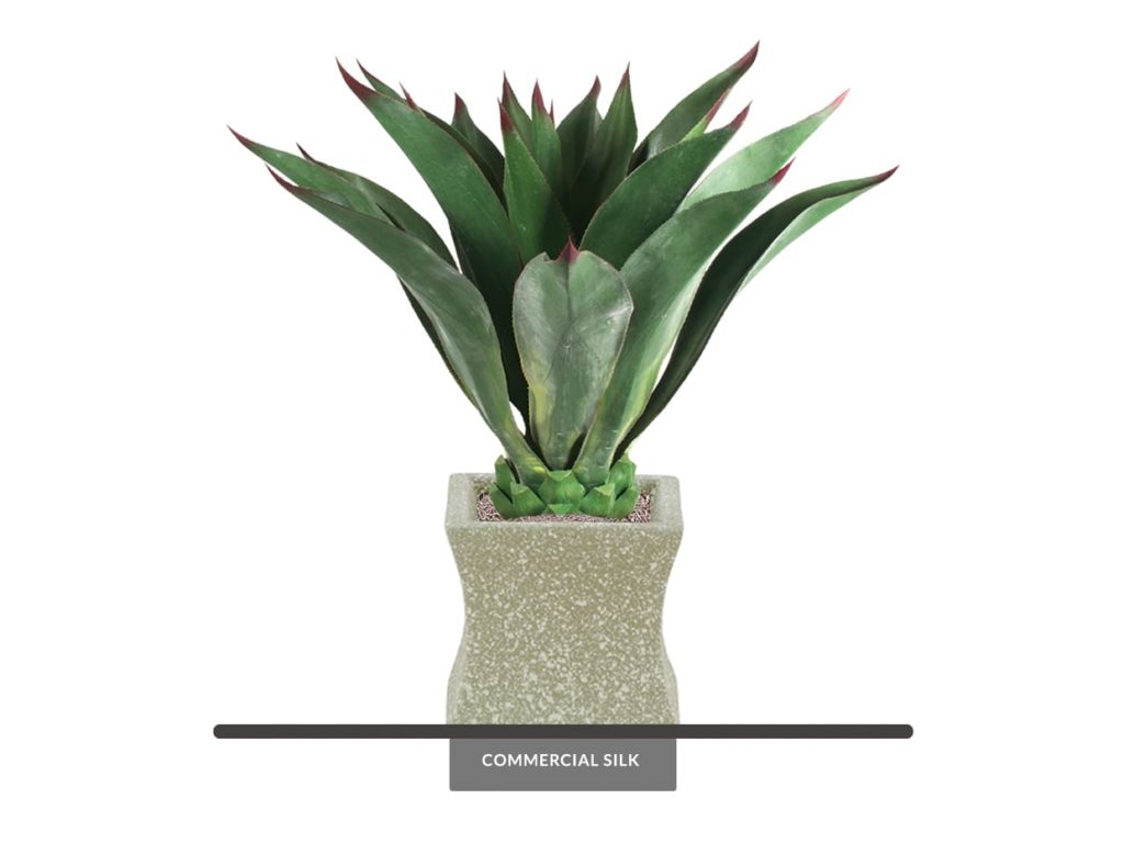Artificial Aeonium Succulent Plant