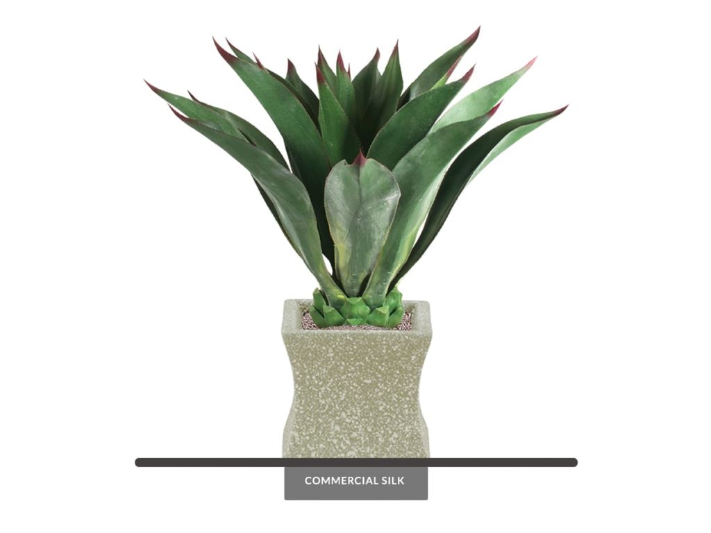Artificial Aeonium Succulent Plant