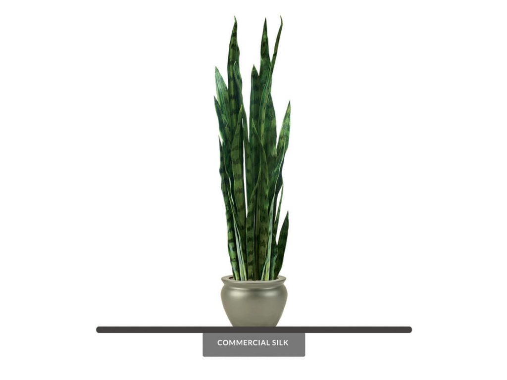 Artificial Sansevieria Plant