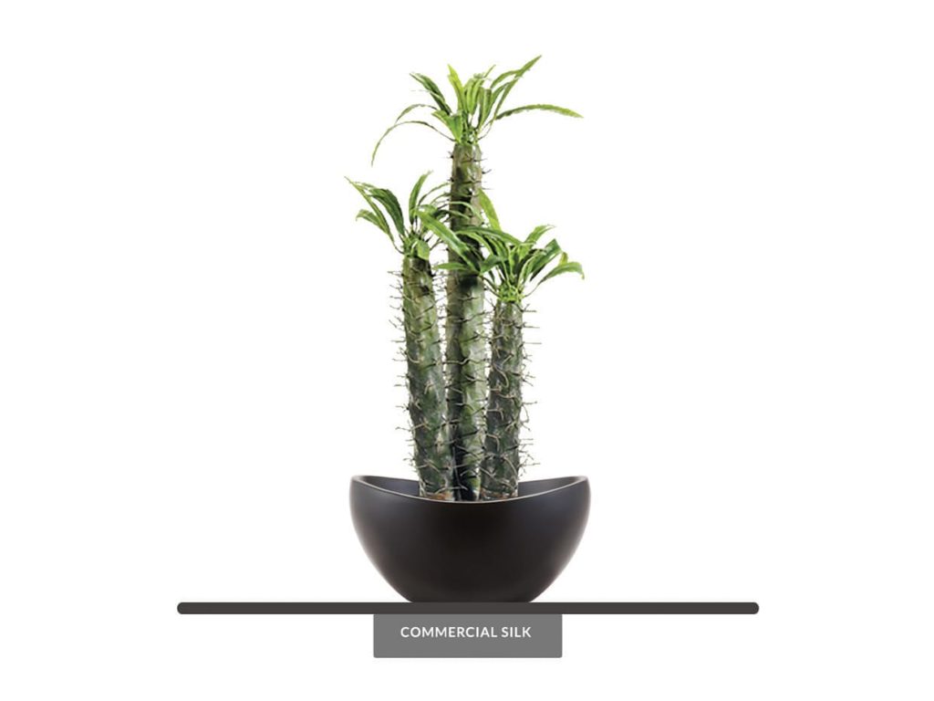 Fake Cactus Plants