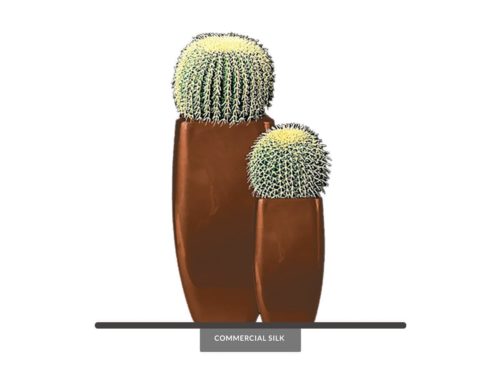 Barrel Cactus Plant ID# P056-AS, P156-AS