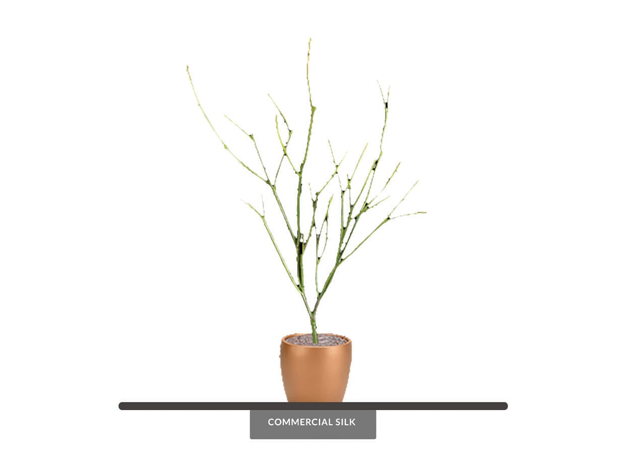Faux Pencil Cactus Plant