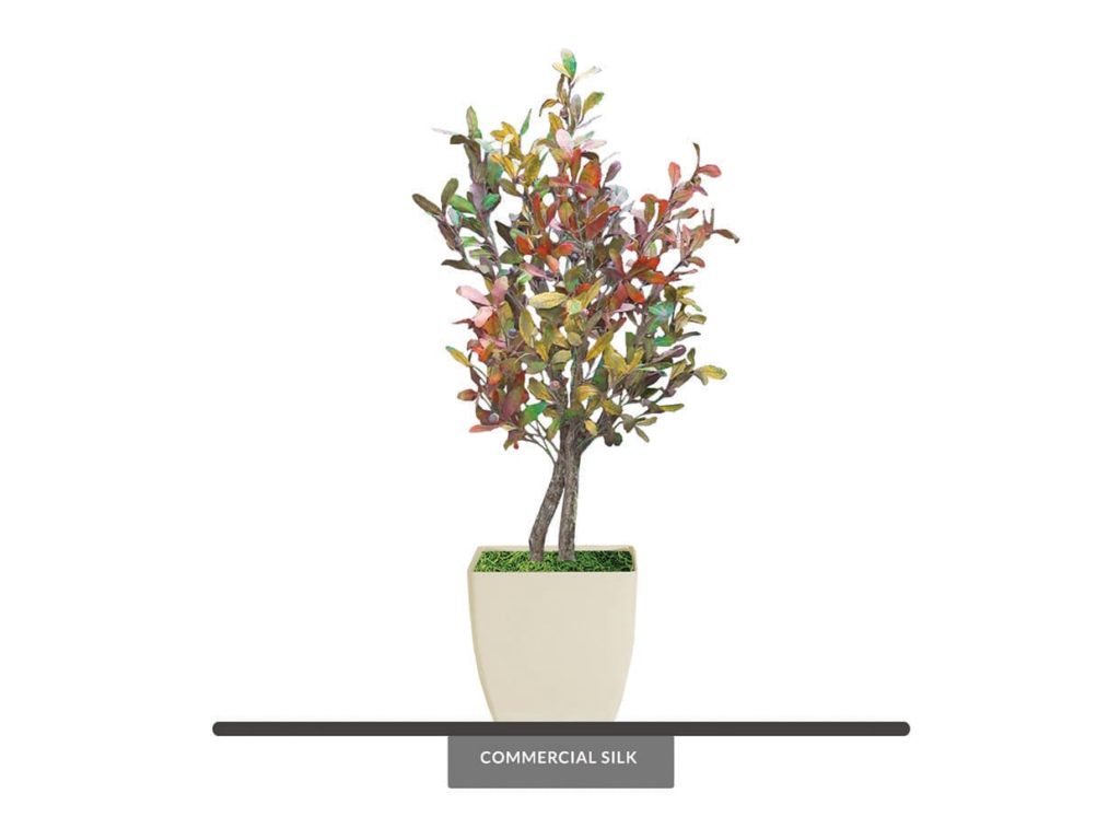 Artificial Live Oak Plant