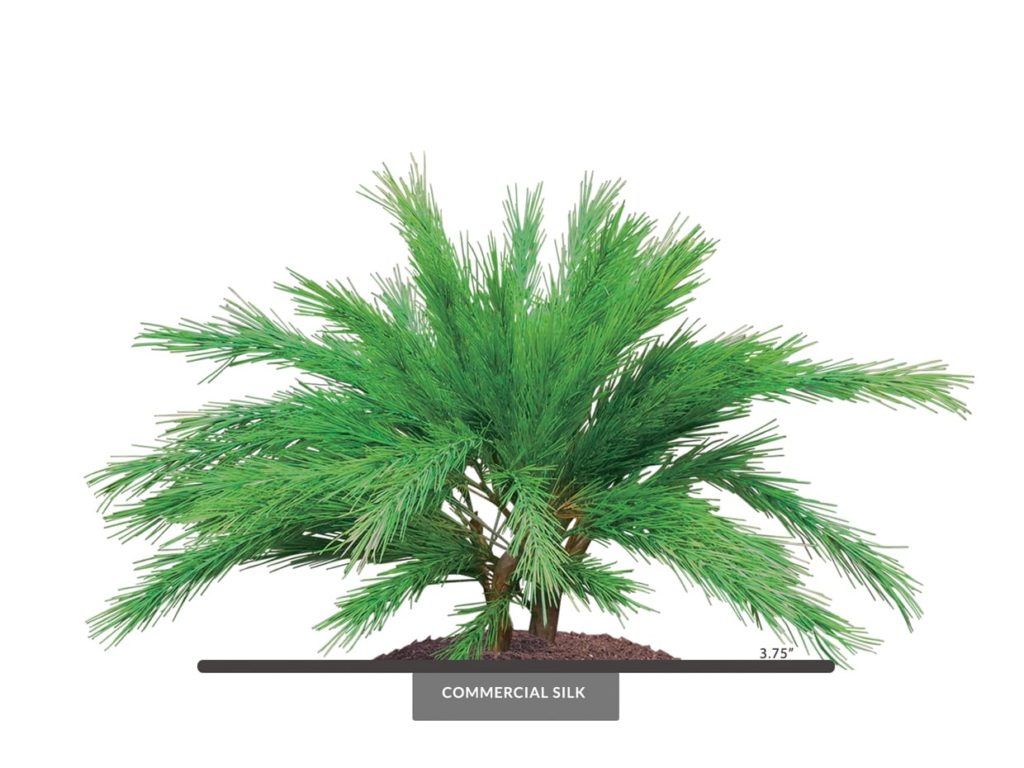 Artificial Limber Pine Plant