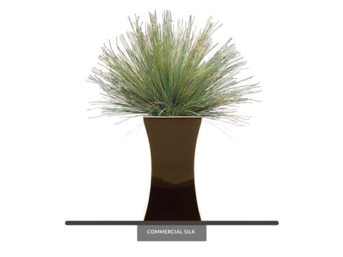 Mondo Grass Plant ID# GMD132