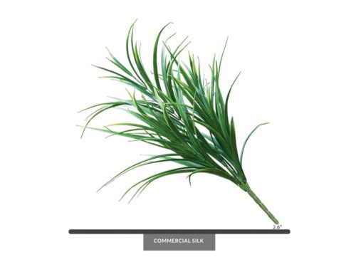 Field Grass Foliage ID# GFL#26