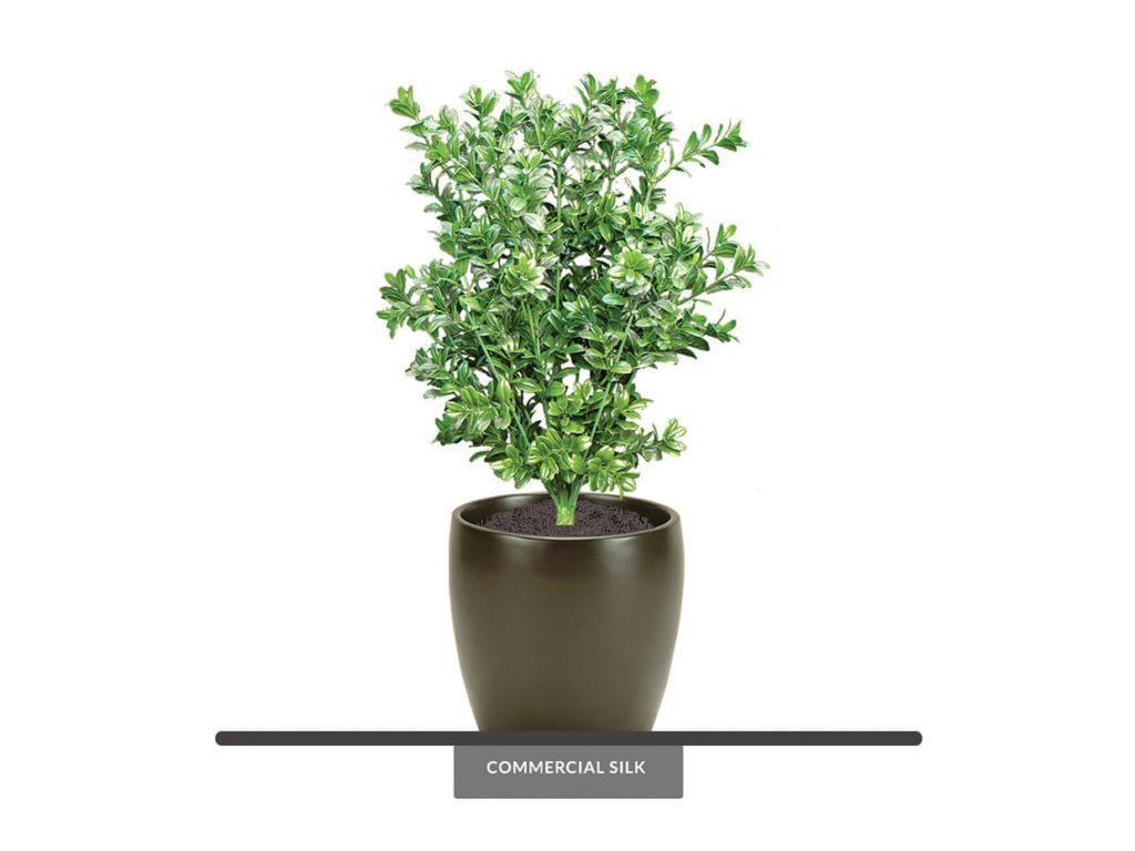 Large Leaf Faux Boxwood Plant Outdoor