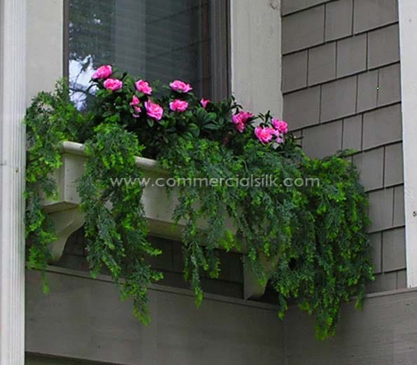 Azalea Flower Bush ID# AZA+18P