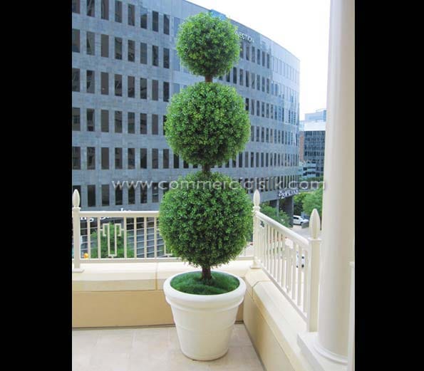 Outdoor Boxwood Ball Topiary ID# BOX3B96+