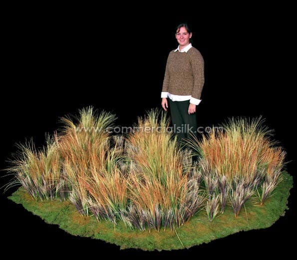 Ornamental Prairie Grass for Landscaping ID# 12414