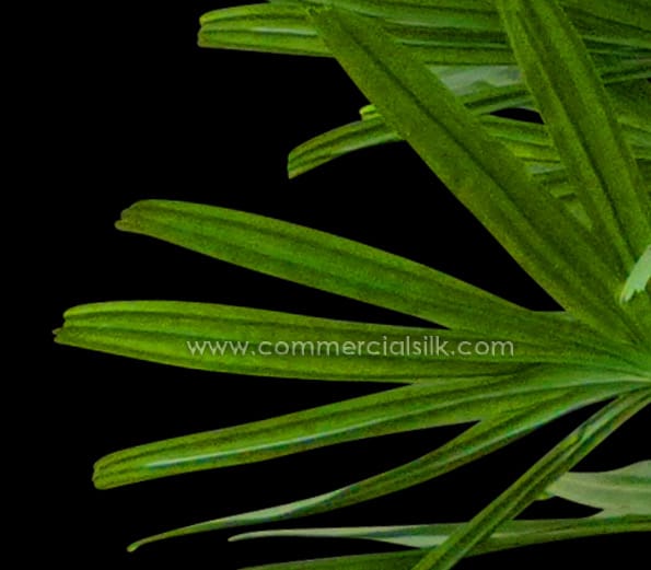 Rhapis Palm Bush, Molded Stem ID# PRA#27