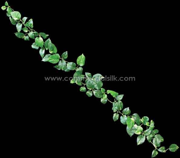 Pothos Garland ID# POG#72R