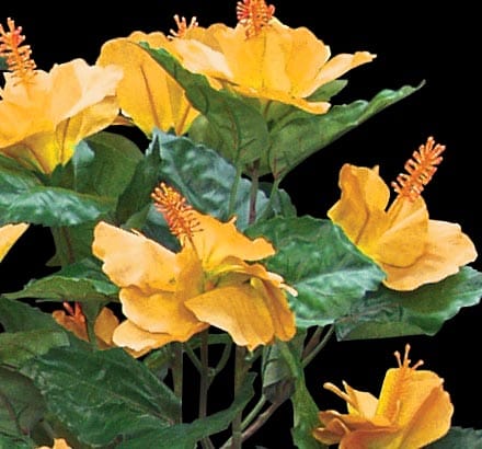 Hibiscus Spray, Hot Pink ID# HIB#25P