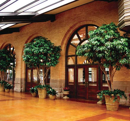 Peace Lily Plant - Fake Floor Plants ID# PLS212, PLL328