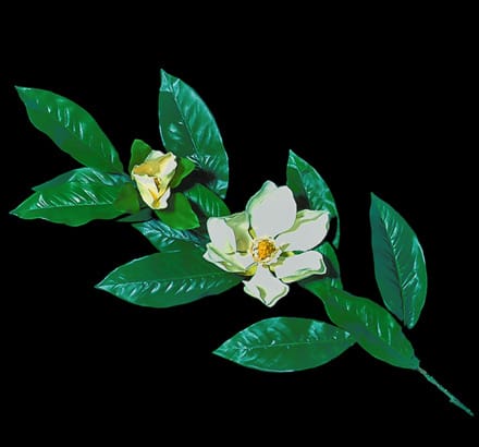 Magnolia Spray ID# MA#27