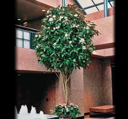 Magnolia Spray ID# MA#27