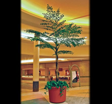 Fishtail Palm Spray ID# FPA#45