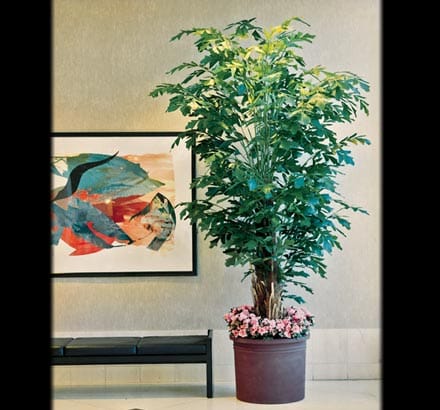 Fishtail Palm Spray ID# FPA#45