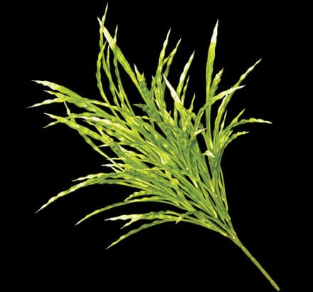 Artificial Foliage Ribbon Grass ID# GRB++21F