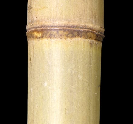 Artificial Bamboo Plant ID# 12322