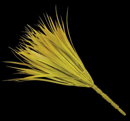 Vanilla Grass Bush, Light Green ID# GRV#12LG