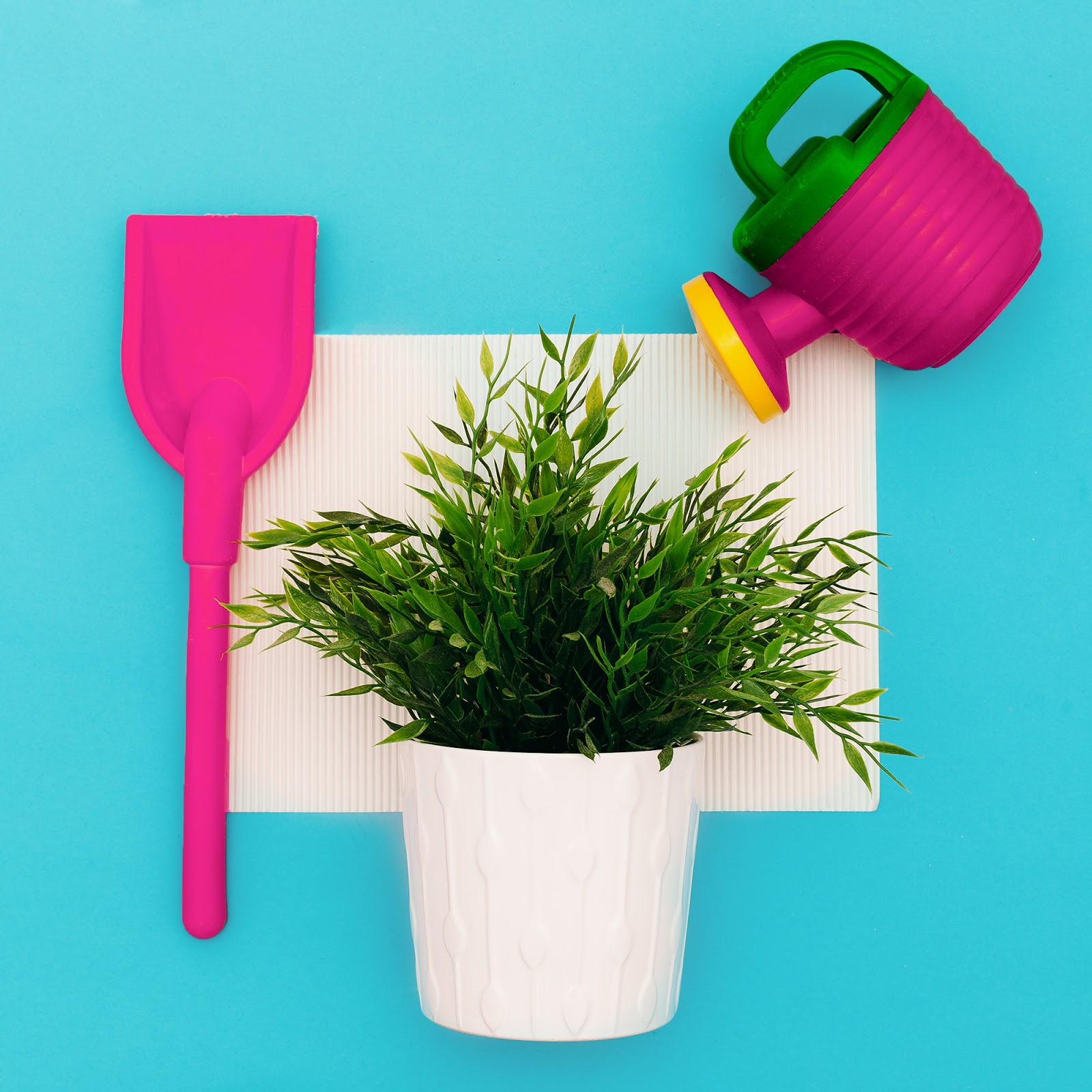 Faux Plants