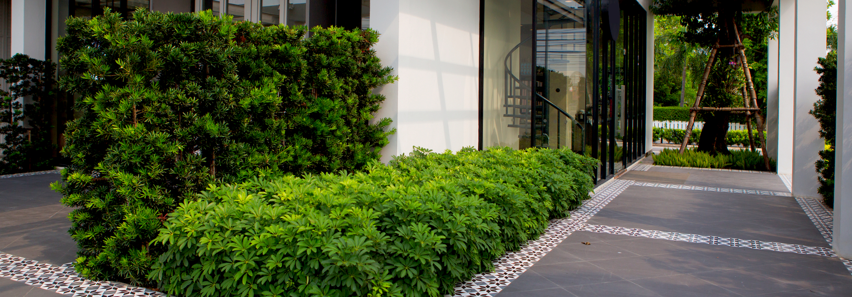 2022 Trend Gardening for a Changing Climate