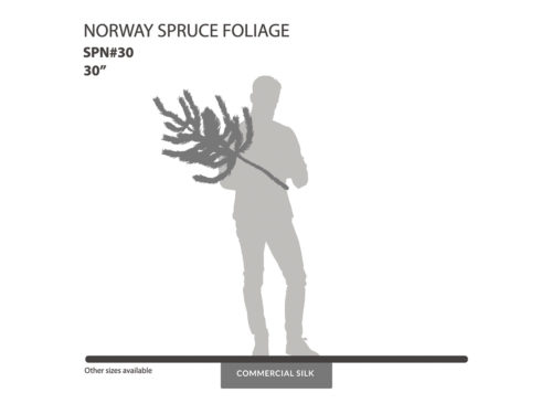 Norway Spruce Spray ID# SPN#30