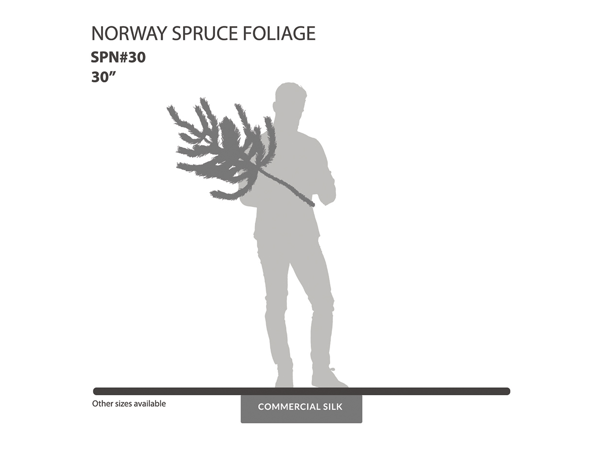 Norway Spruce Spray ID# SPN#30
