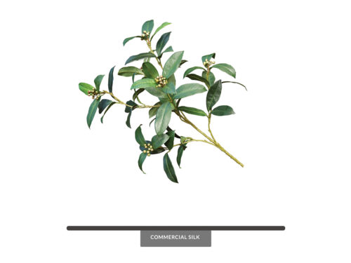 Sweet Bay Laurel Vine Spray ID# SBA#24