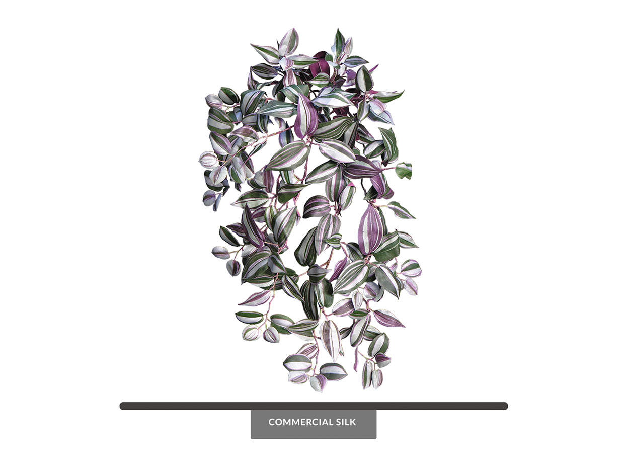 Artificial Wandering Jew Vine Foliage