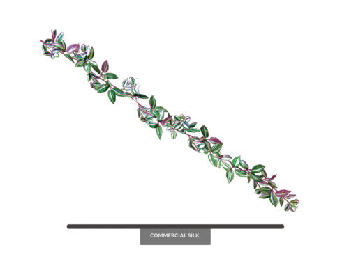 Wandering Jew Garland ID# WAN#72P