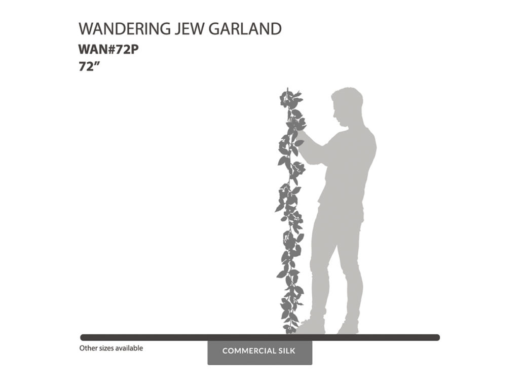Wandering Jew Garland ID# WAN#72P