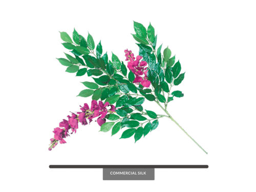 Fuchsia Wisteria Spray, Fuschia ID# WIS#24F