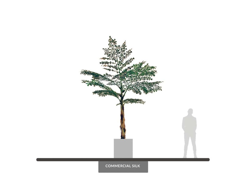 Fishtail Palm Tree, Giant ID# FPG1X6