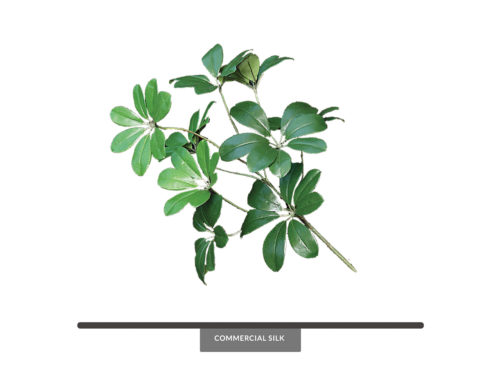 Arboricola Artificial Foliage ID# ARB#22