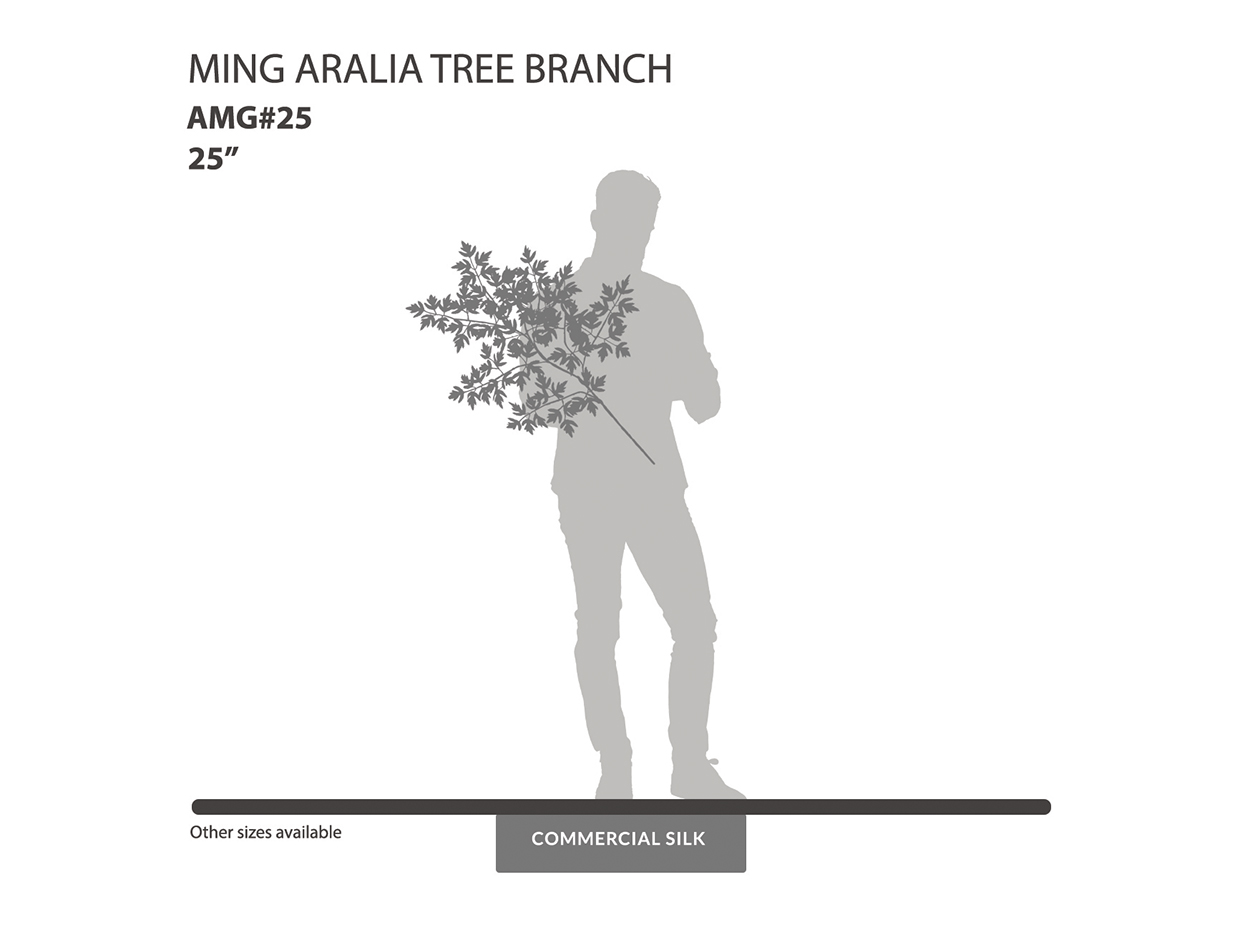 Ming Aralia Spray ID# AMG#25