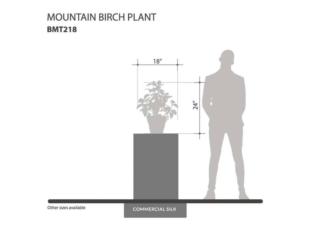 Mountain Birch Plant - Artificial Indoor Plants ID# BMT218
