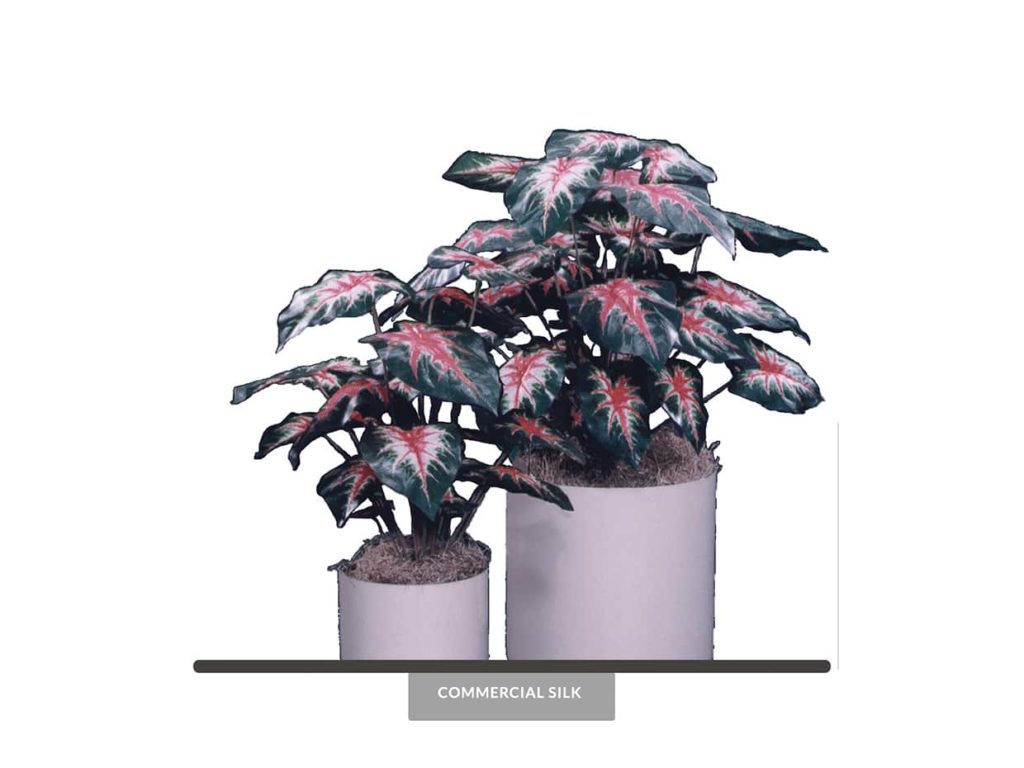 Artificial Caladium Plant