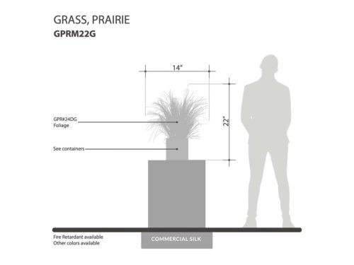 Prairie Grass Plant, Green ID# GPRM22G