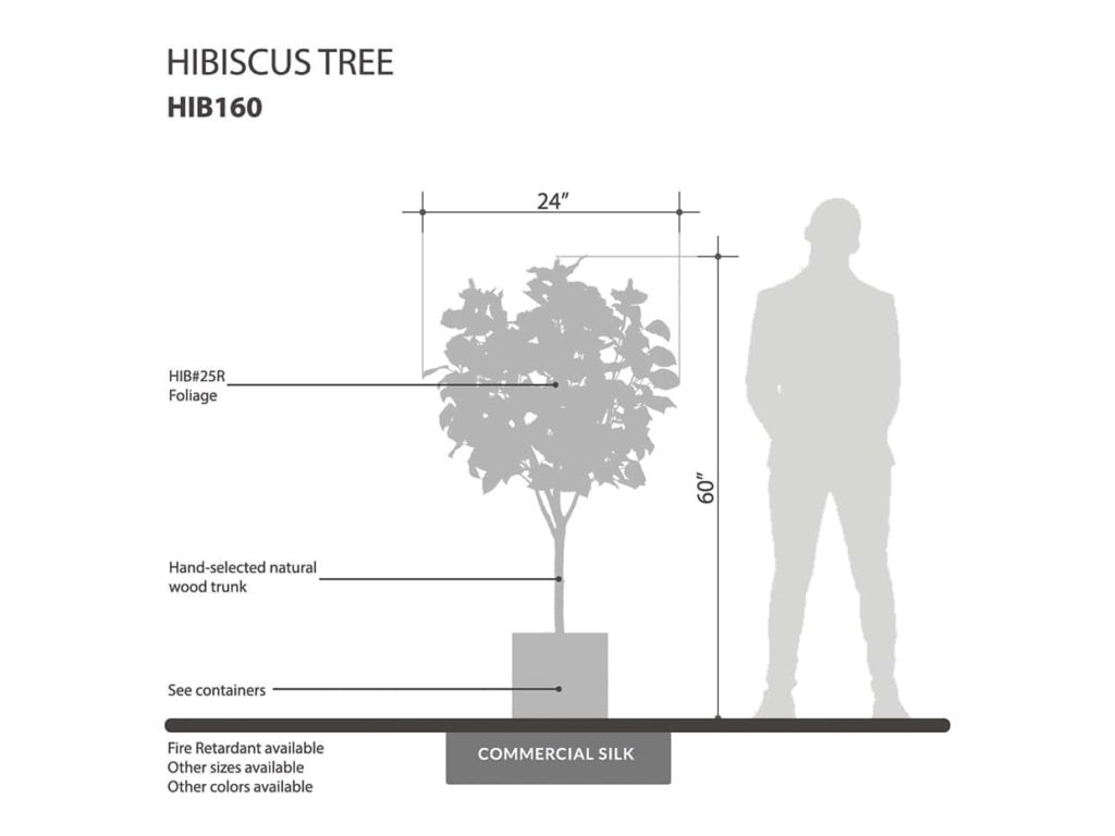 Hibiscus Tree ID# HIB160
