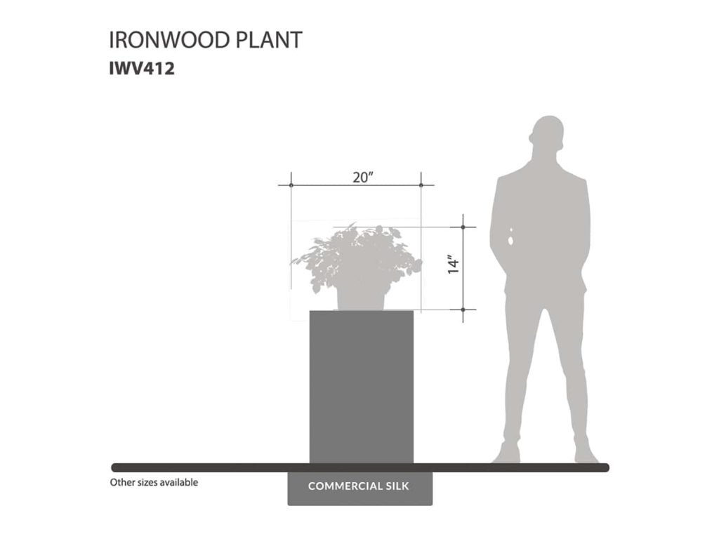 Ironwood Plant ID# IWV412