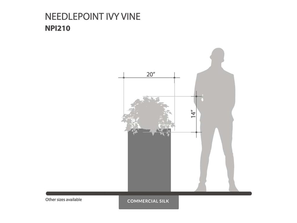 Needlepoint Ivy Vine ID# NPI210