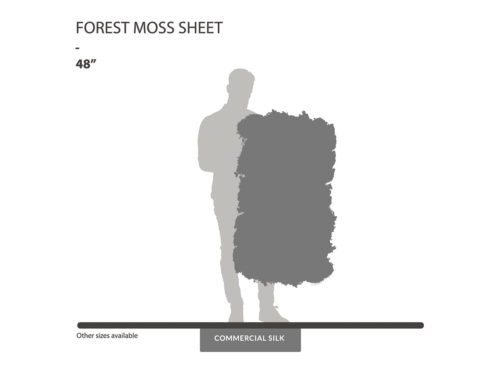 Forest Moss ID# MFO#08