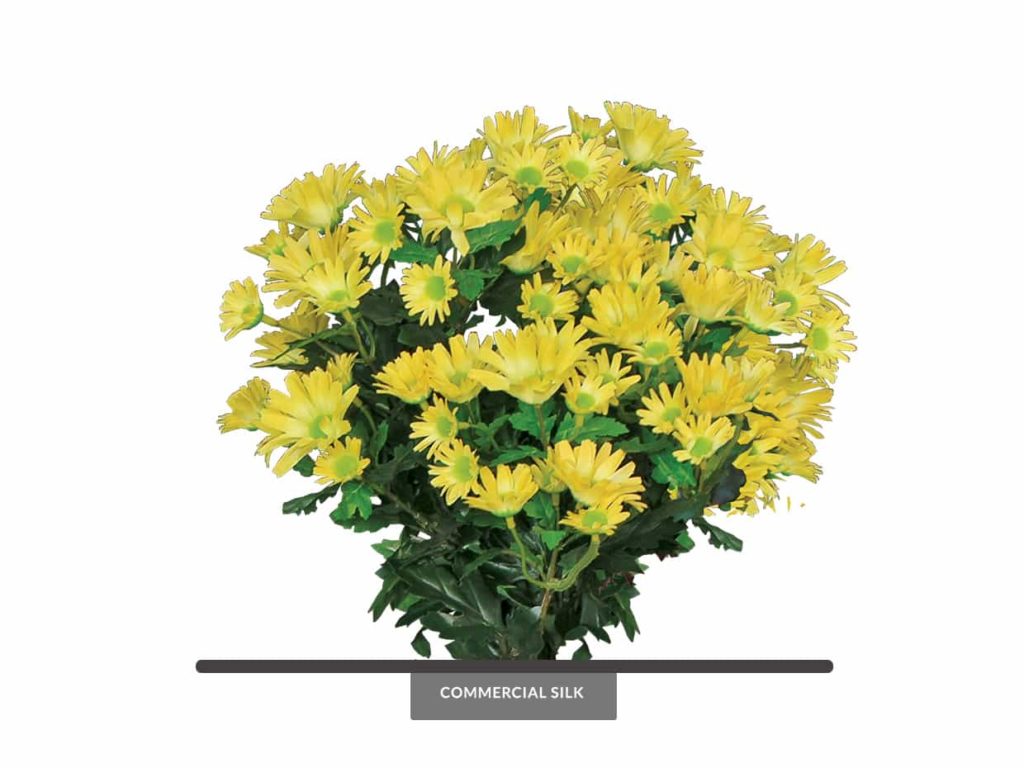 Fake Daisy Mums Plants