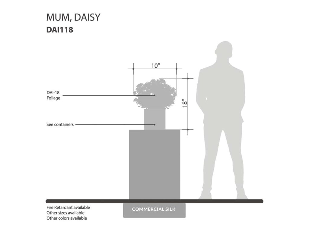 Daisy Mums Flowers ID# DAI118B#