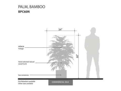 Bamboo Palm Tree, 5' ID# BPC60N