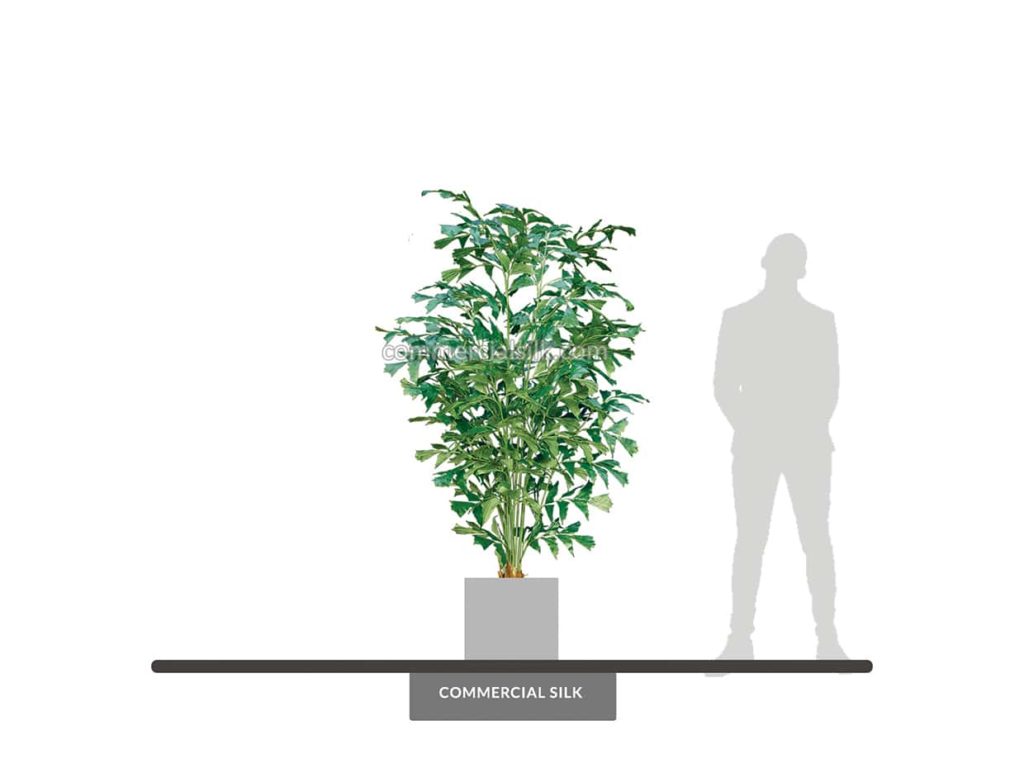 Fishtail Palm Tree, 8' ID# FPCM72