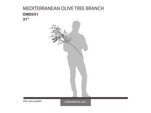 Mediterranean Olive Spray ID# OMD#31